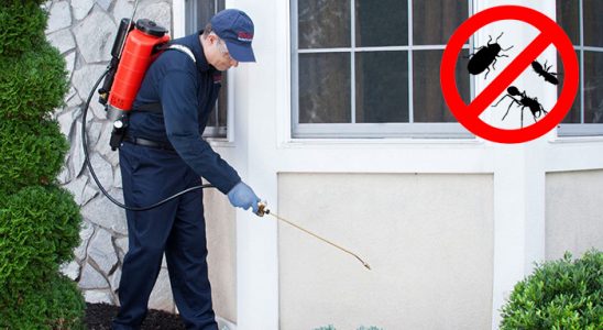 Acıgöl Böcek ve Haşere İlaçlama böcek ilaçlama ve haşere kontrolü — ilaclama-tr.com